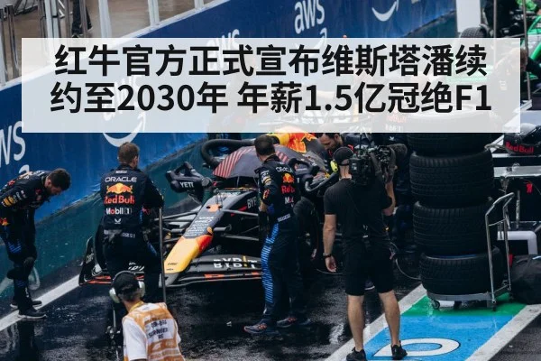 Red Bull F1 team